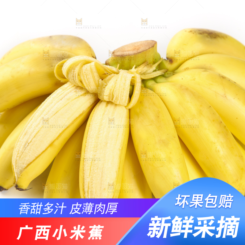 白底上摆放着广西小米蕉