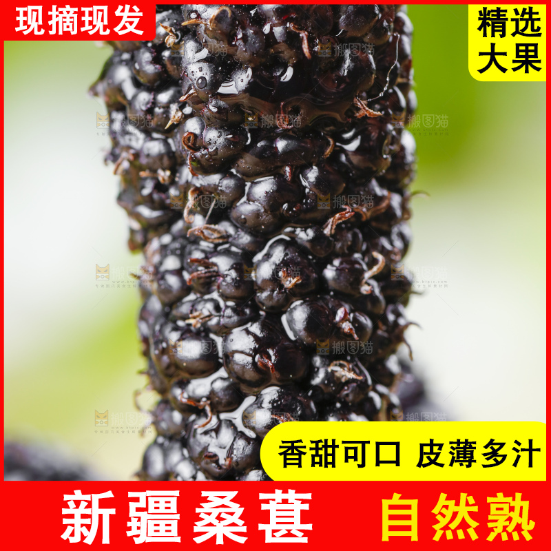 手里拿着黑桑葚