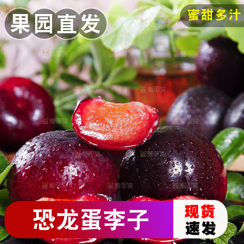 深底上摆放着恐龙蛋李