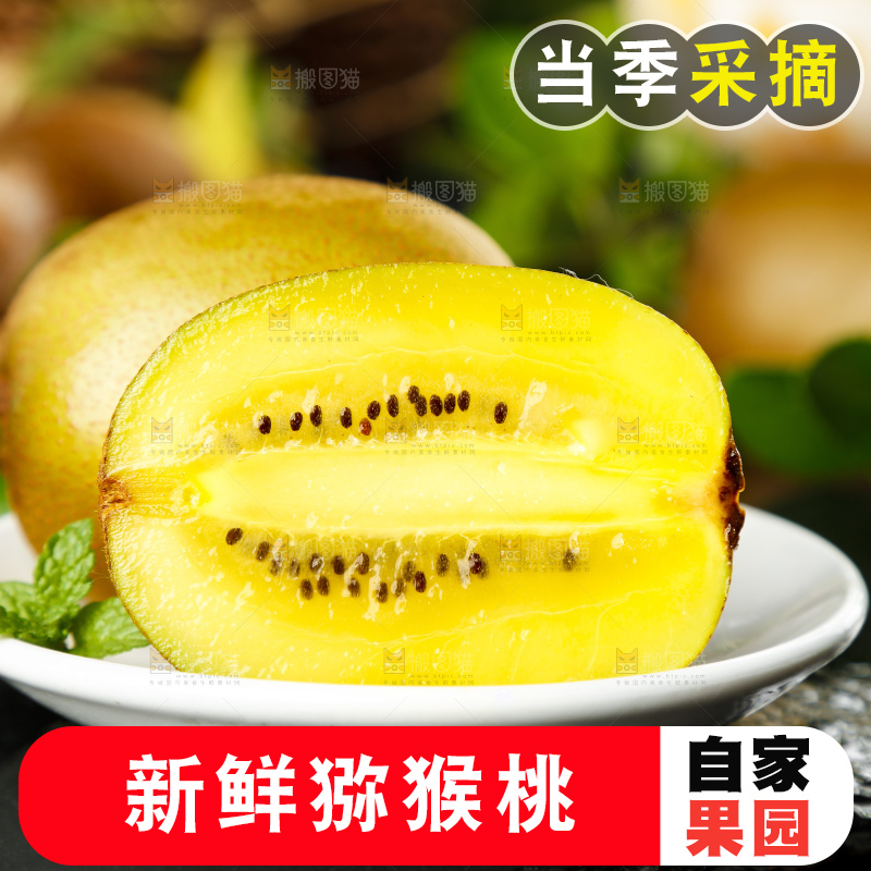 碟子里装着黄心奇异果
