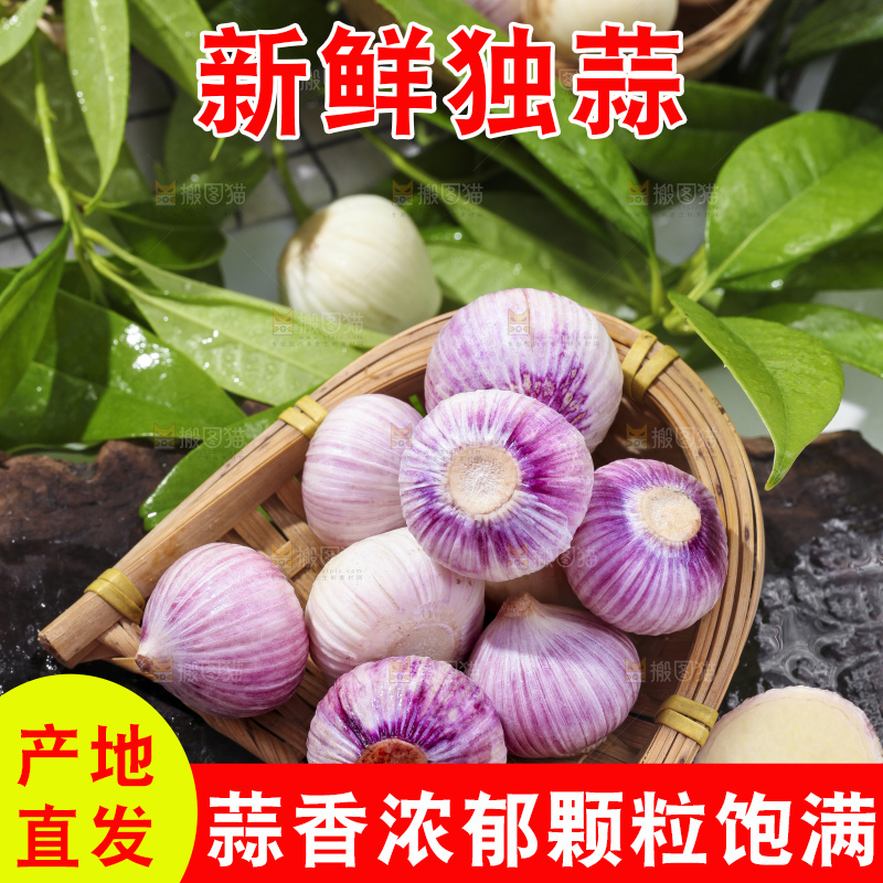 深底上摆放着云南独头蒜