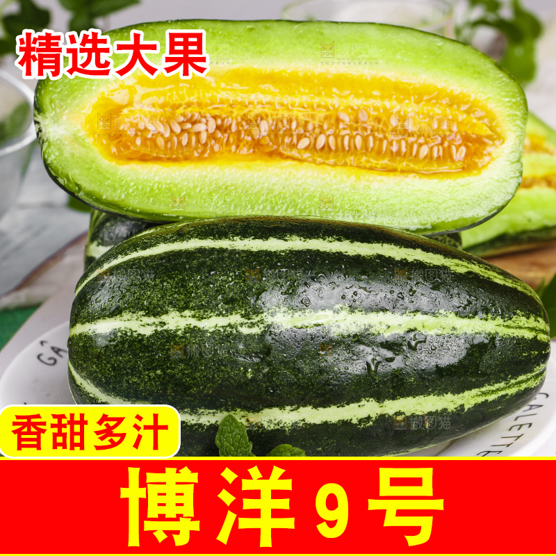 盘子里装着美洋甜瓜
