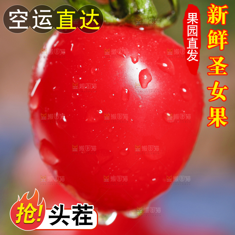 手里拿着小番茄