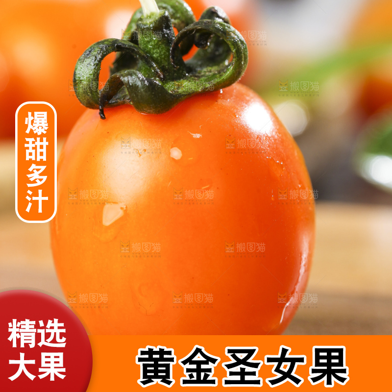 木底上摆放着山东黄金圣女果
