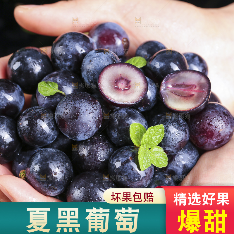 手里捧着夏黑葡萄