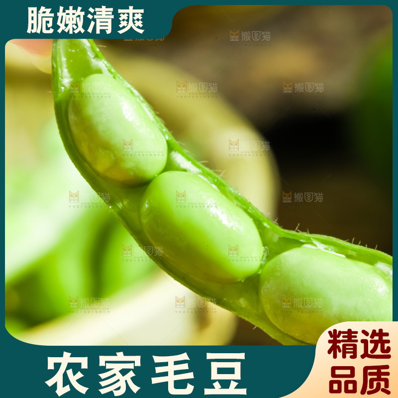 手里拿着毛豆角