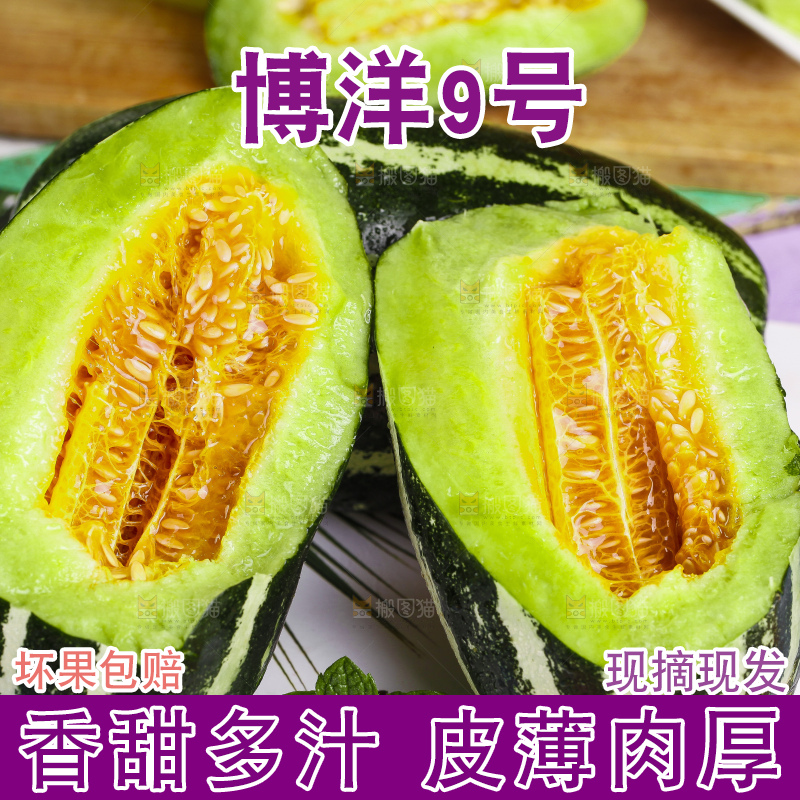 浅底上放着博洋香瓜