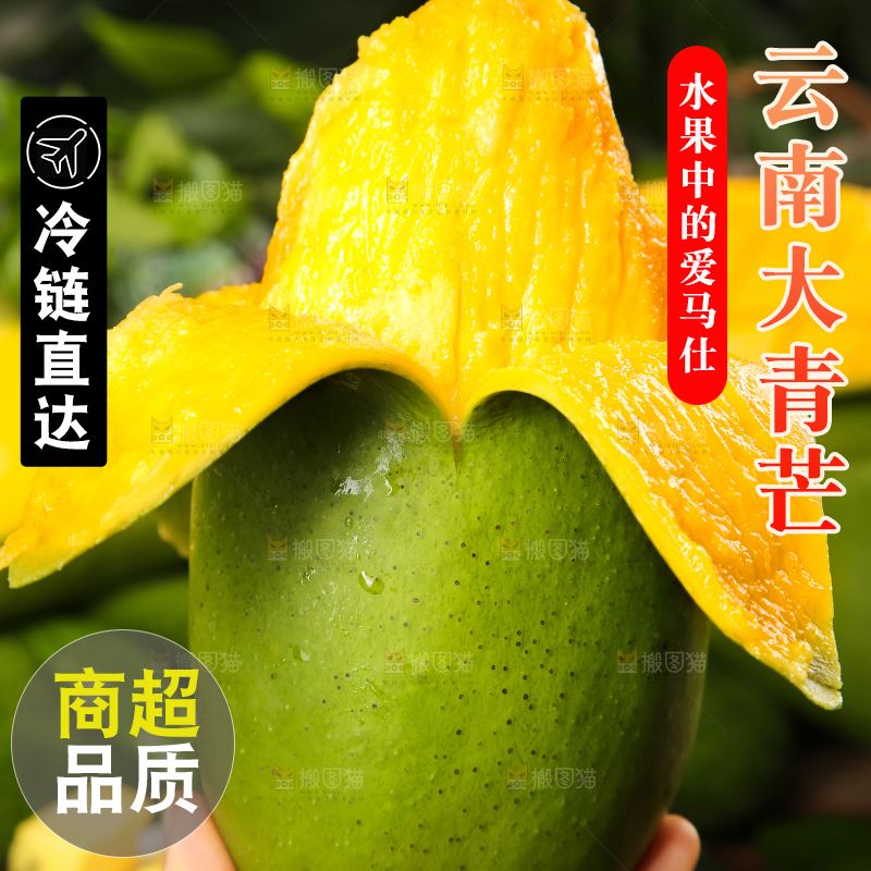 手里拿着芒果
