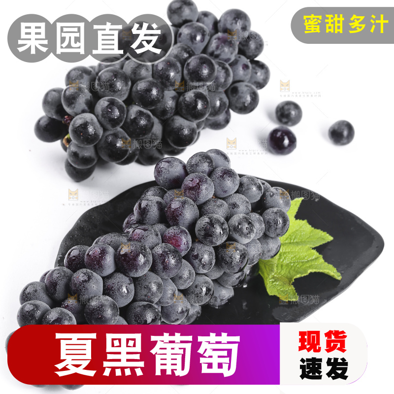 白底上摆放着黑加仑葡萄
