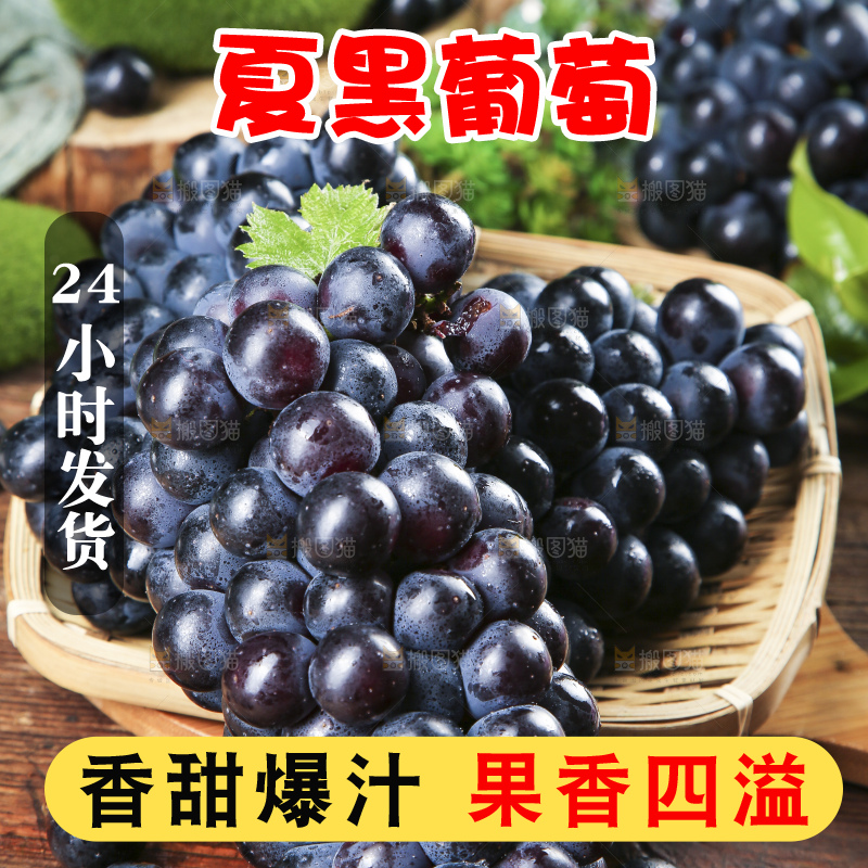 篮子里装着黑加仑