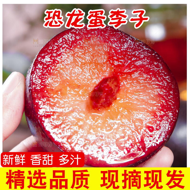 手里拿着红心恐龙蛋