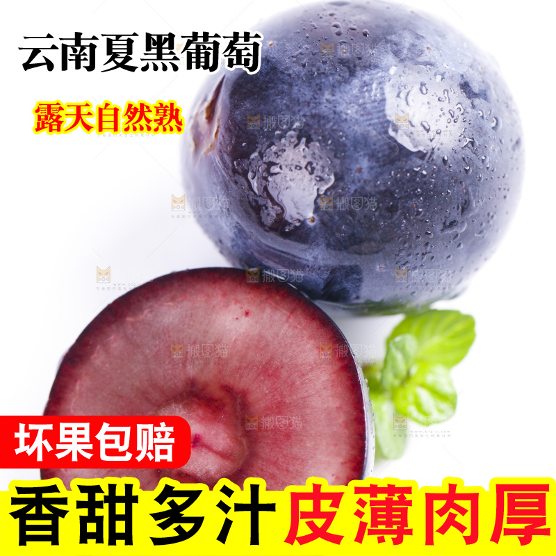 白底上放着夏黑加仑葡萄