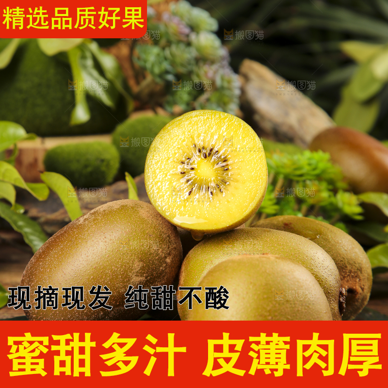 深底上摆放着黄心猕猴桃