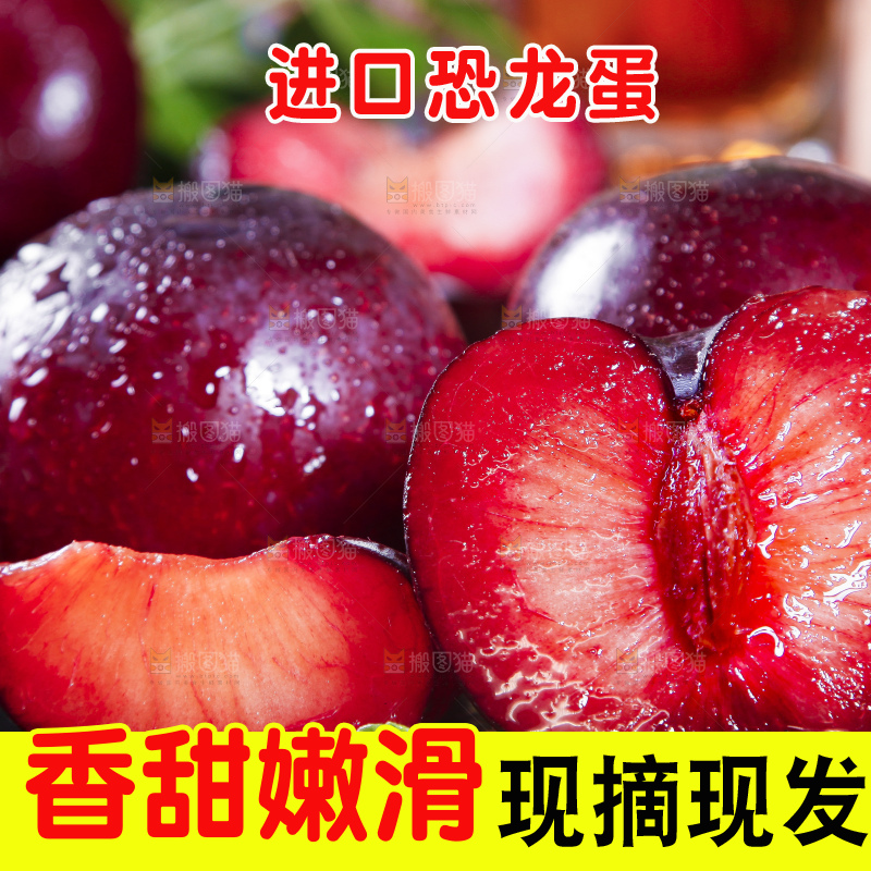深底上摆放着恐龙蛋李