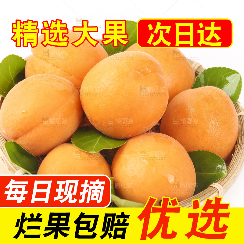 篮子里装着烟台杏子