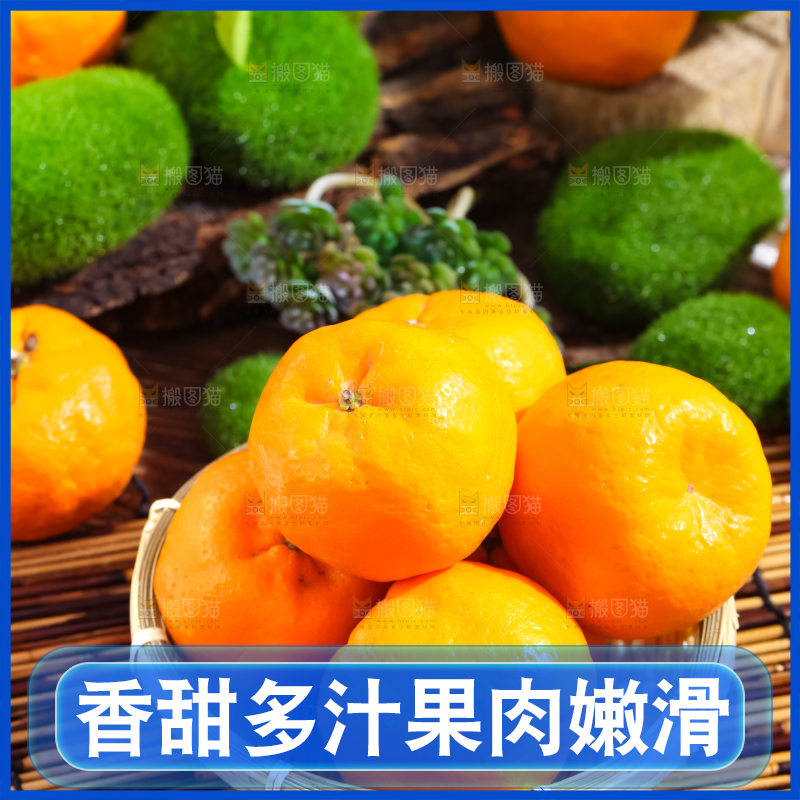 篮子里装着芦柑