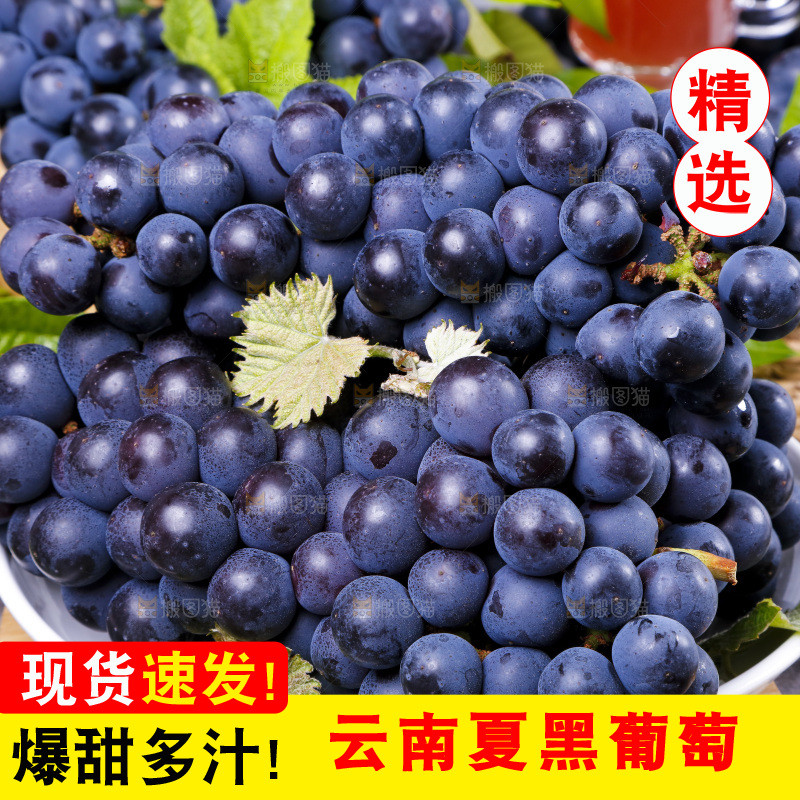 盘子里装着紫葡萄