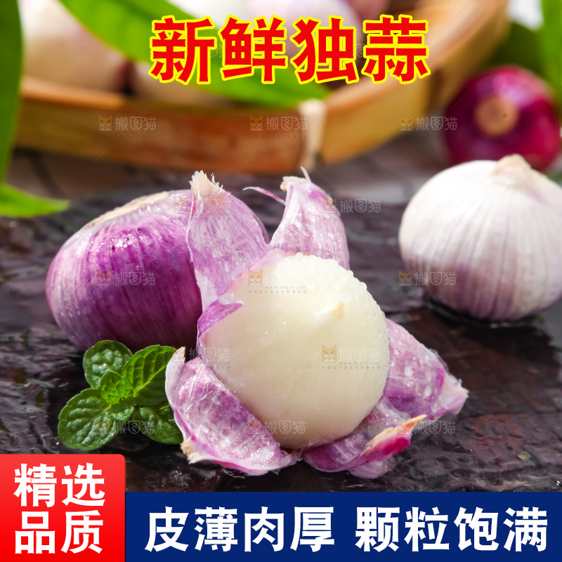 深底上摆放着紫皮独蒜