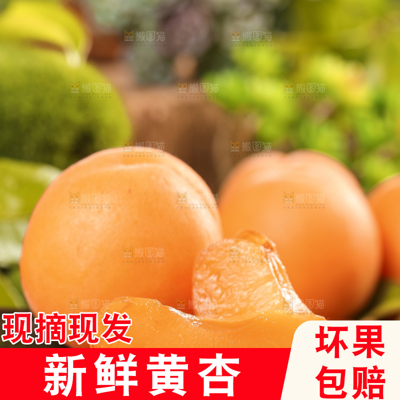 木底上摆放着大黄杏
