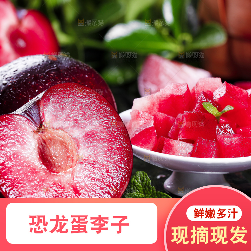 黑底上摆放着智利进口恐龙蛋