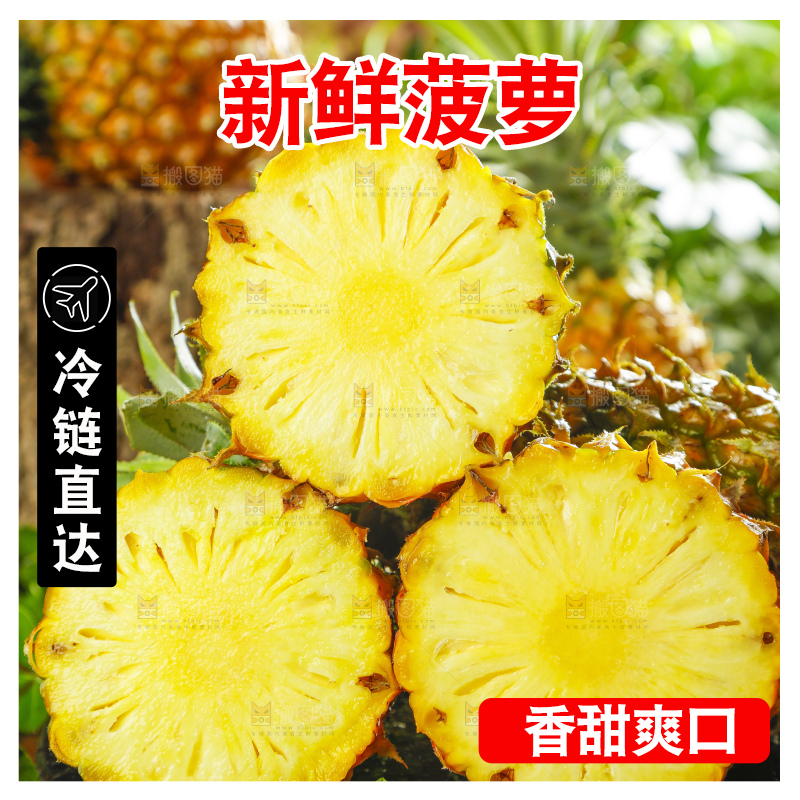 黑底上摆放着进口菠萝