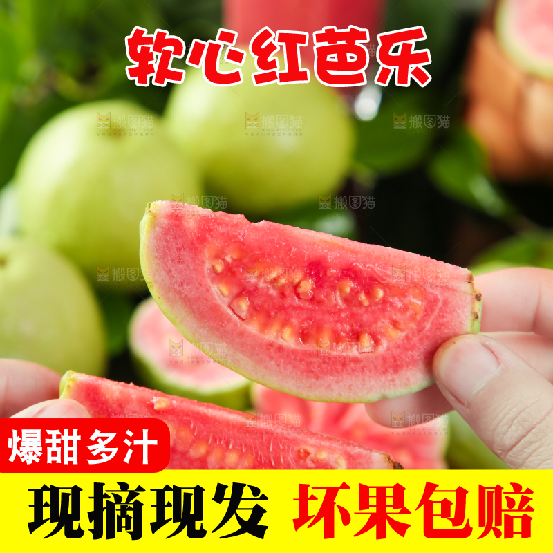 手里拿着红心番石榴