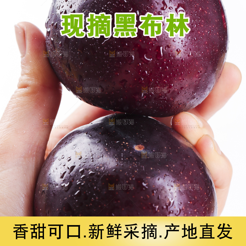 手里拿着黑布林