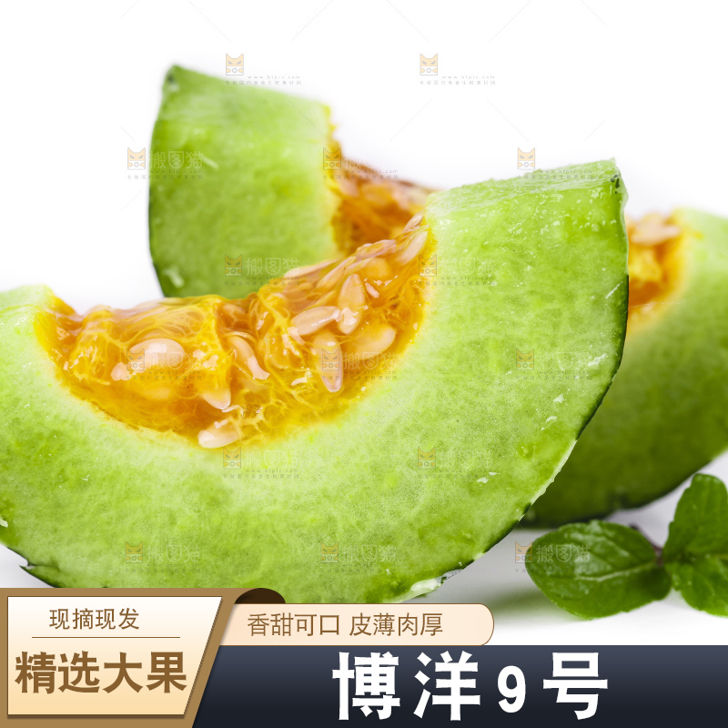 白底上放着博洋甜瓜