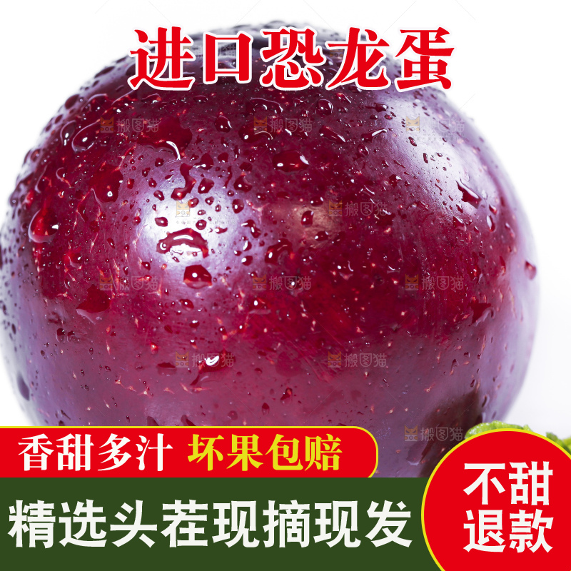 白底上摆放着新鲜恐龙蛋李