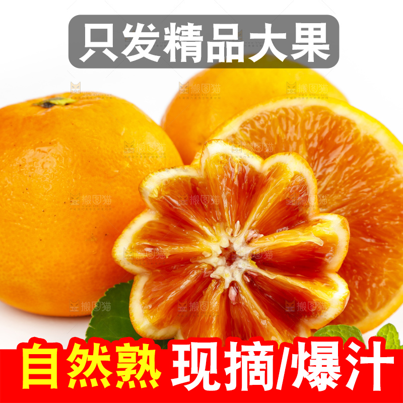 白底上摆放着血橙