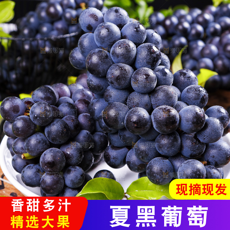 盘子里装着无籽黑提