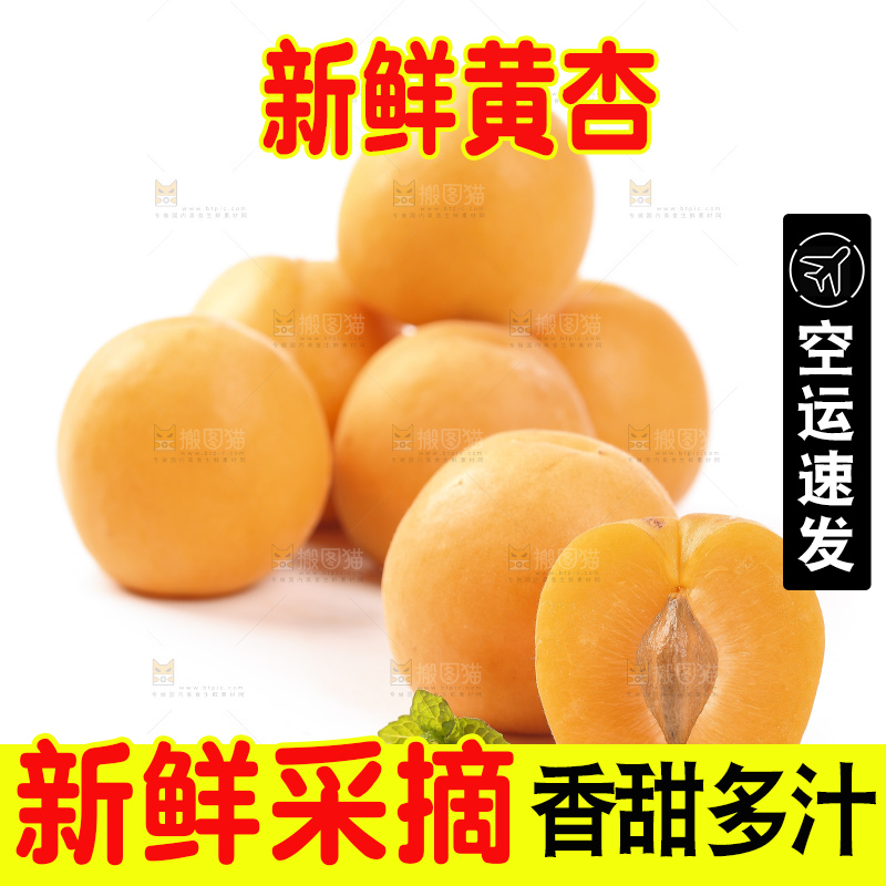 白底上摆放着黄金太阳杏