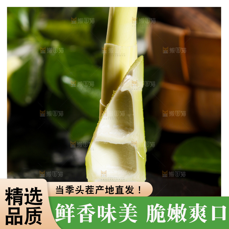 黑底上摆放着雷笋