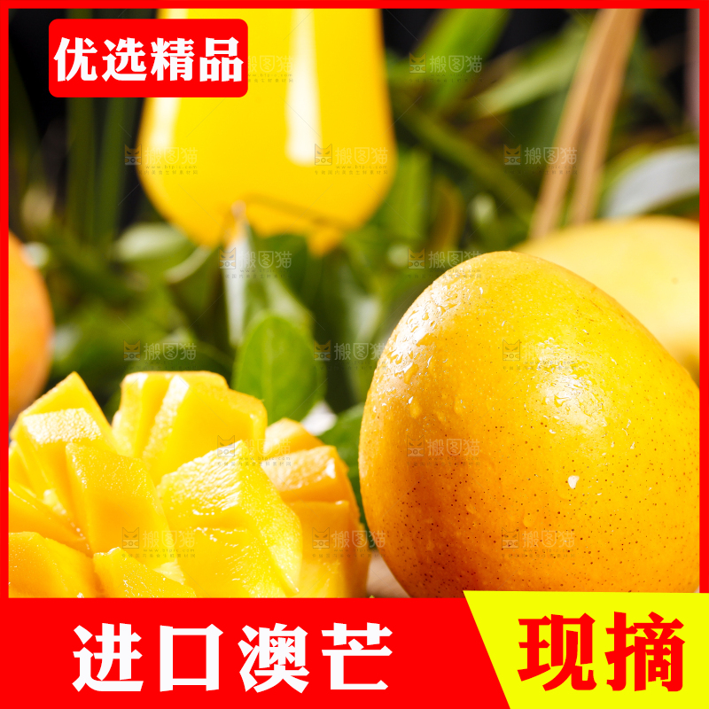 木底上摆放着新鲜澳芒