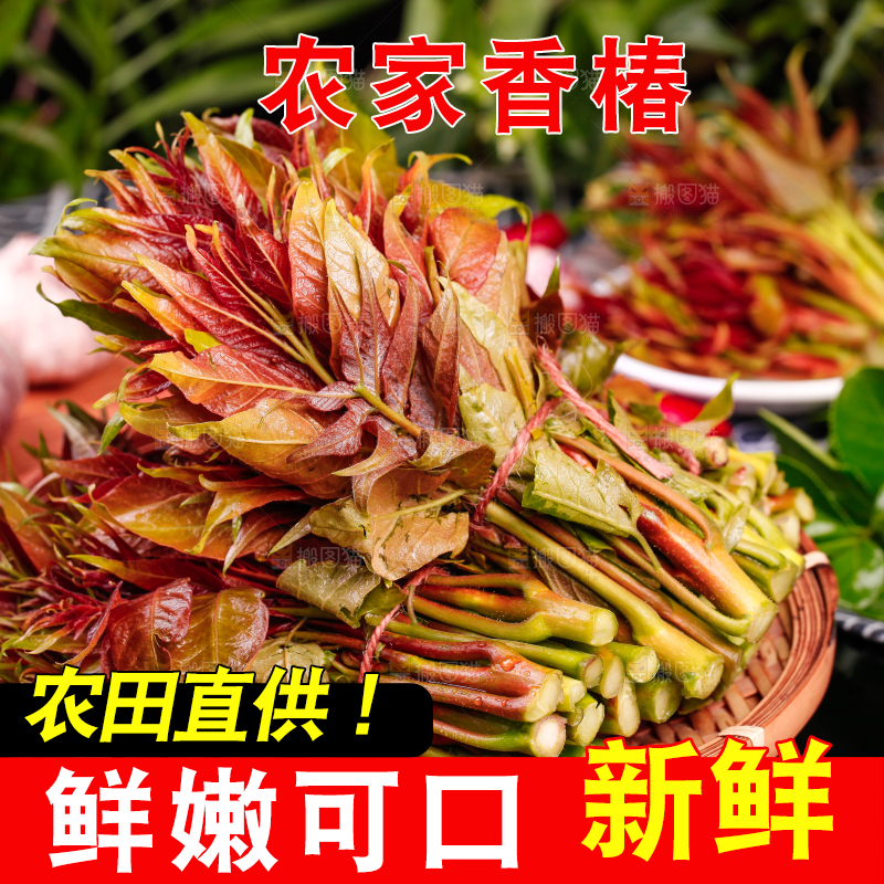 篮子里装着新鲜香椿苗