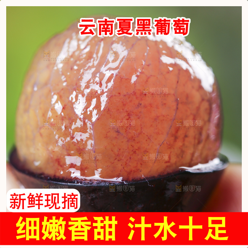 手里着黑提子