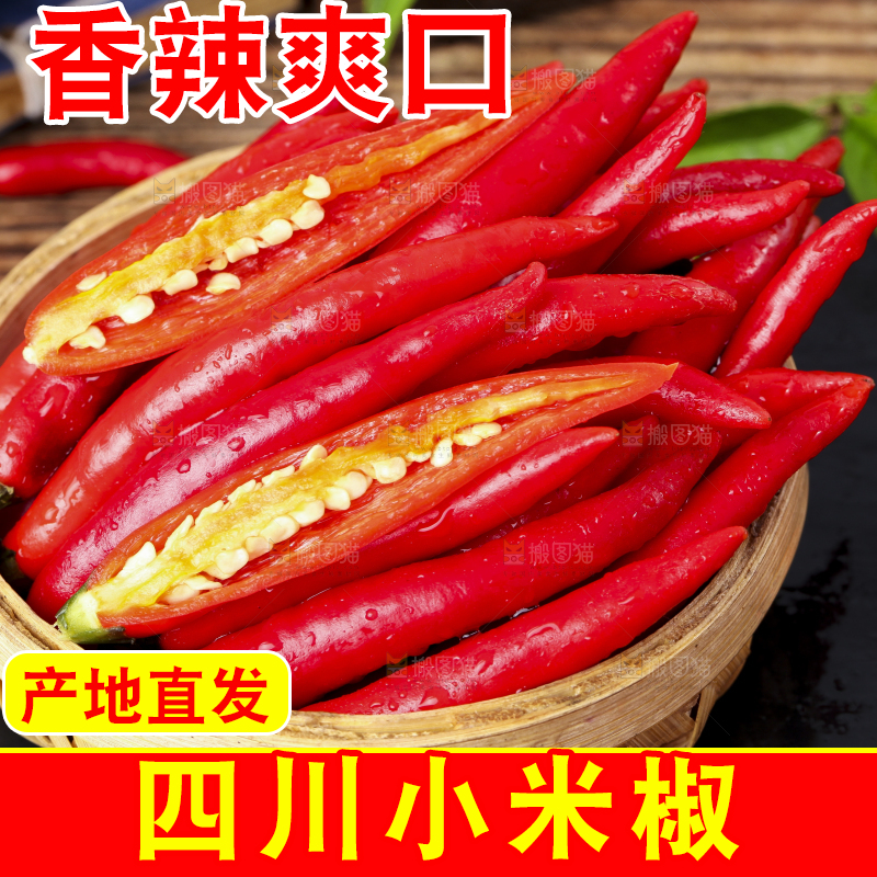 篮子里装着广西小米椒