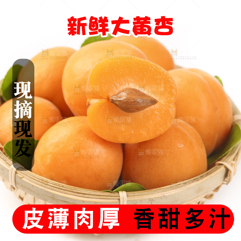 篮子里装着烟台杏子