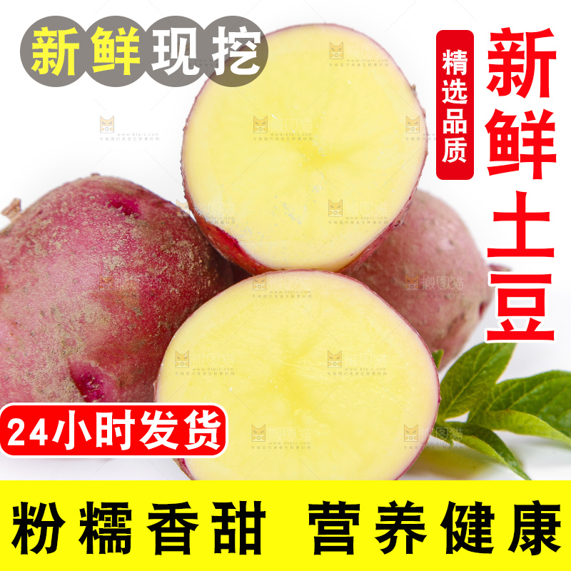 白底上摆放着红皮黄心土豆