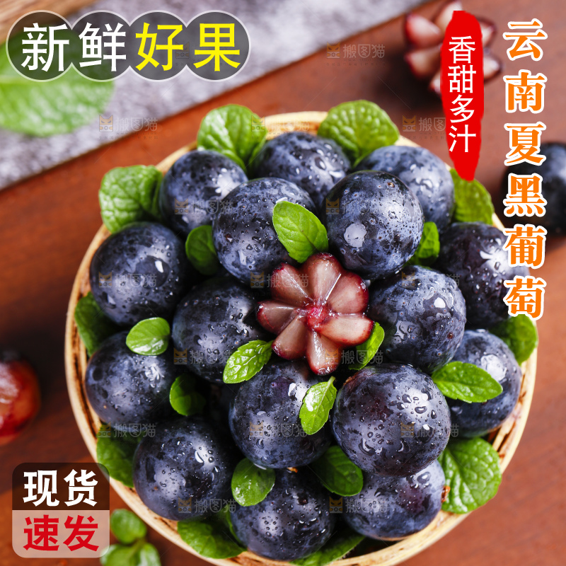 篮子里装着云南夏黑葡萄