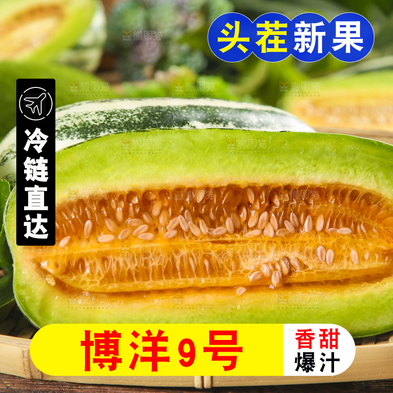 篮子里装着博洋9号甜瓜