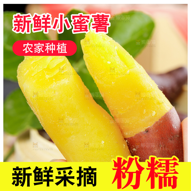 手里拿着临安小香薯