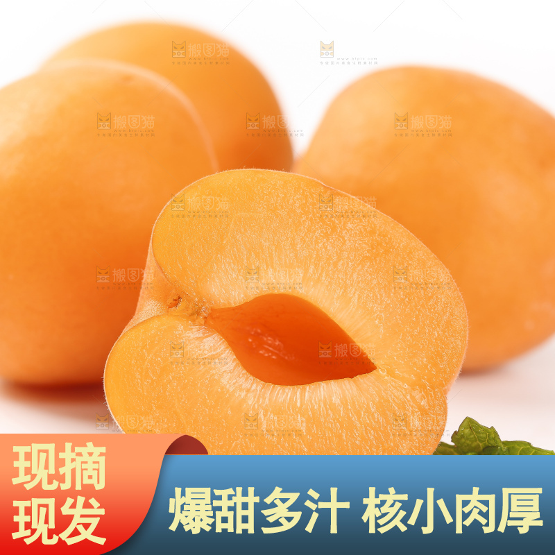 白底上摆放着秦岭头茬大黄杏