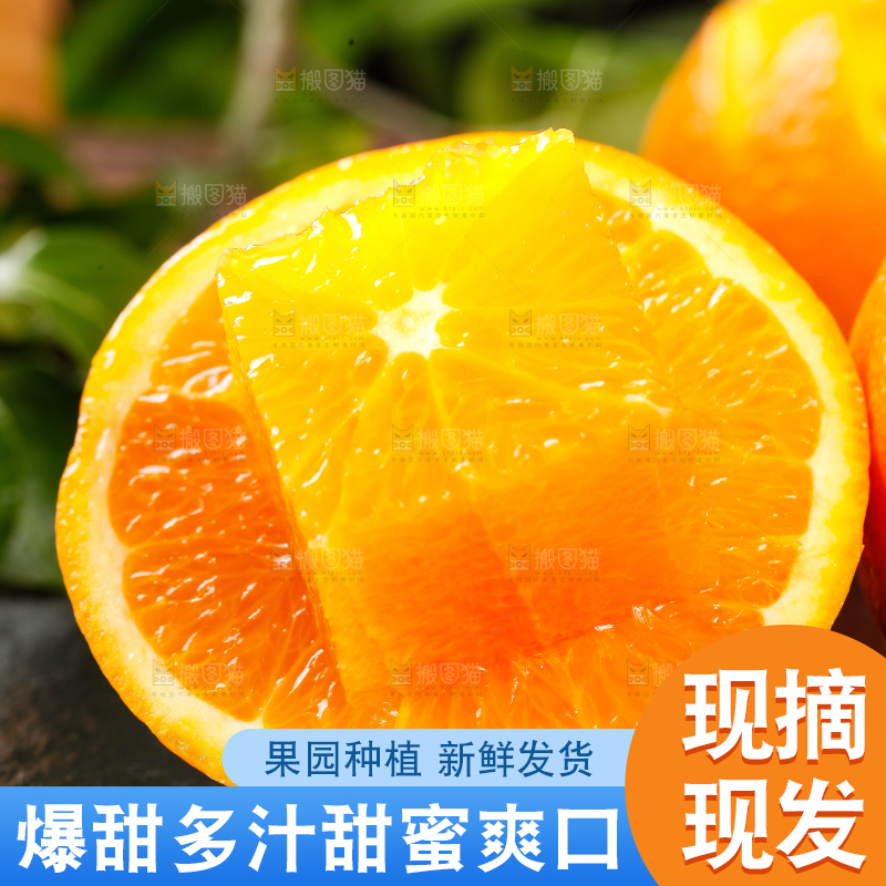 黑底上放着秭归脐橙