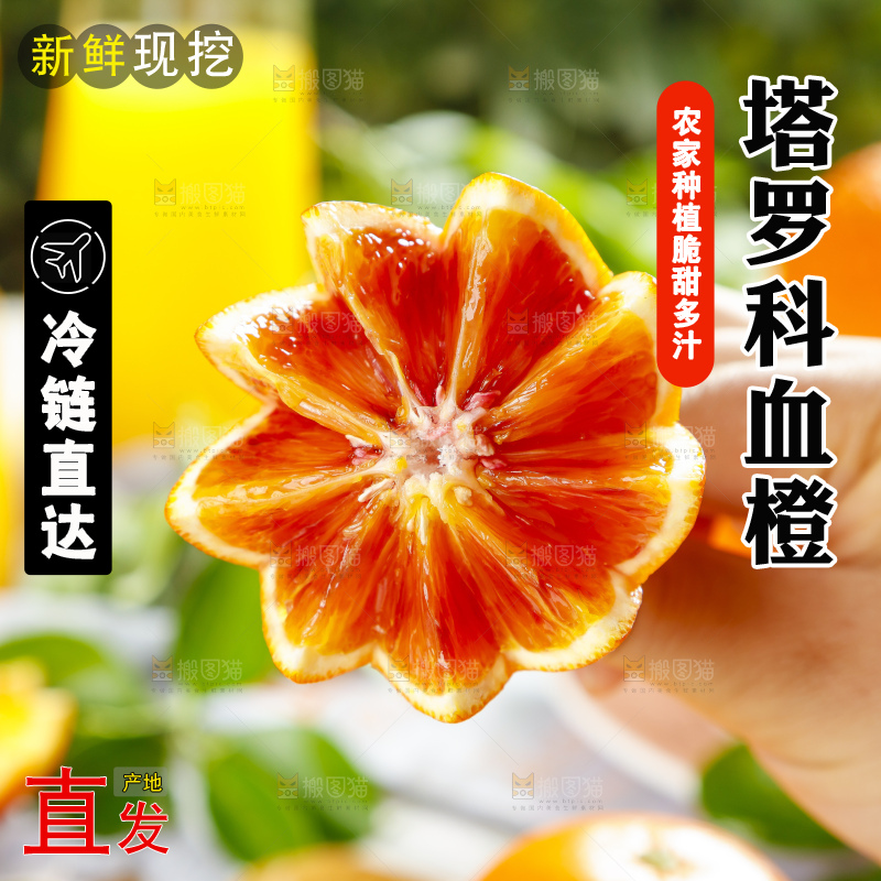手里拿着塔罗科血橙