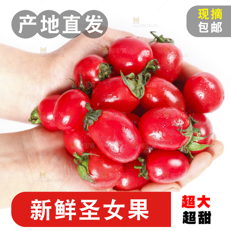 手里捧着小番茄