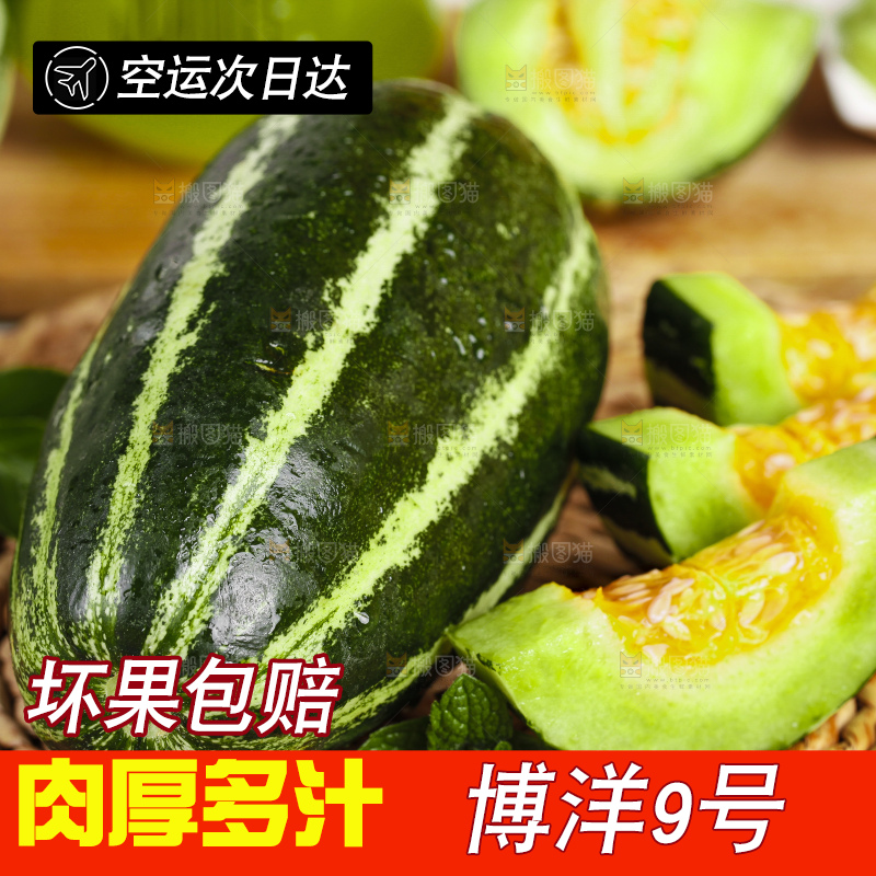 编织垫上放着博洋9号甜瓜