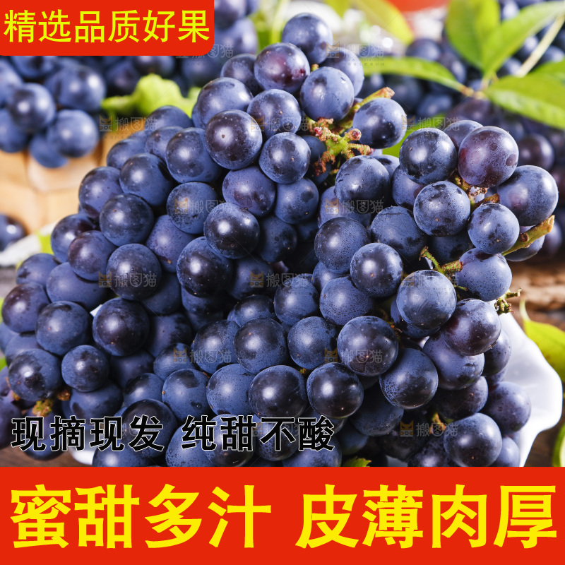 盘子里装着夏黑葡萄