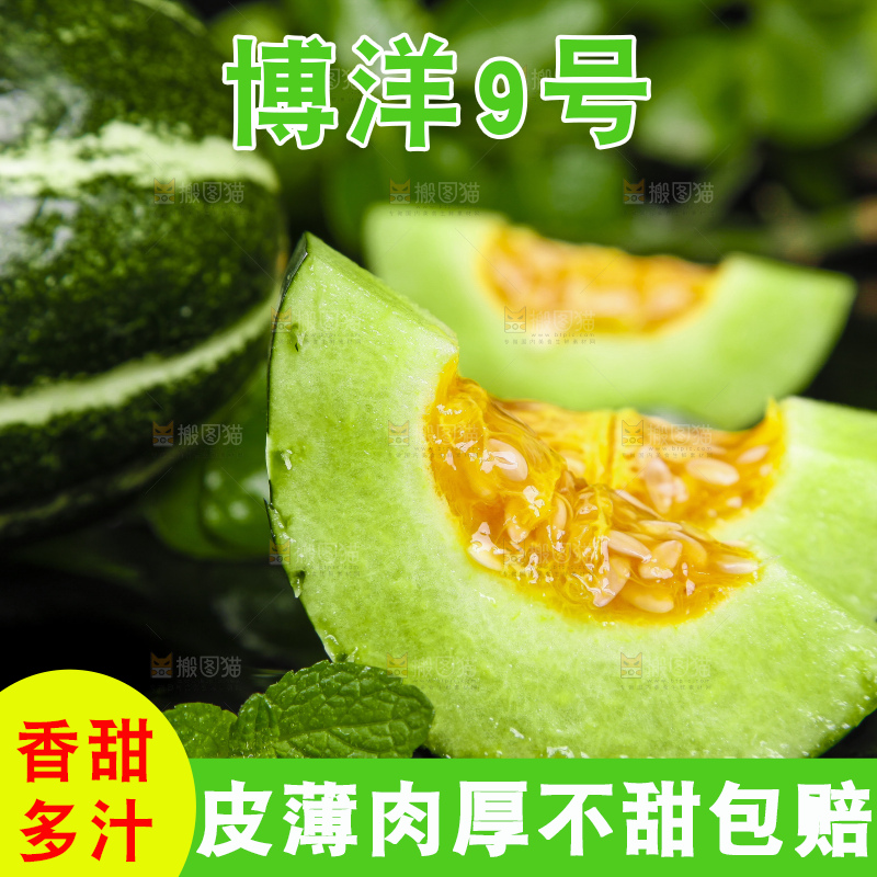 黑底上放着博洋甜瓜