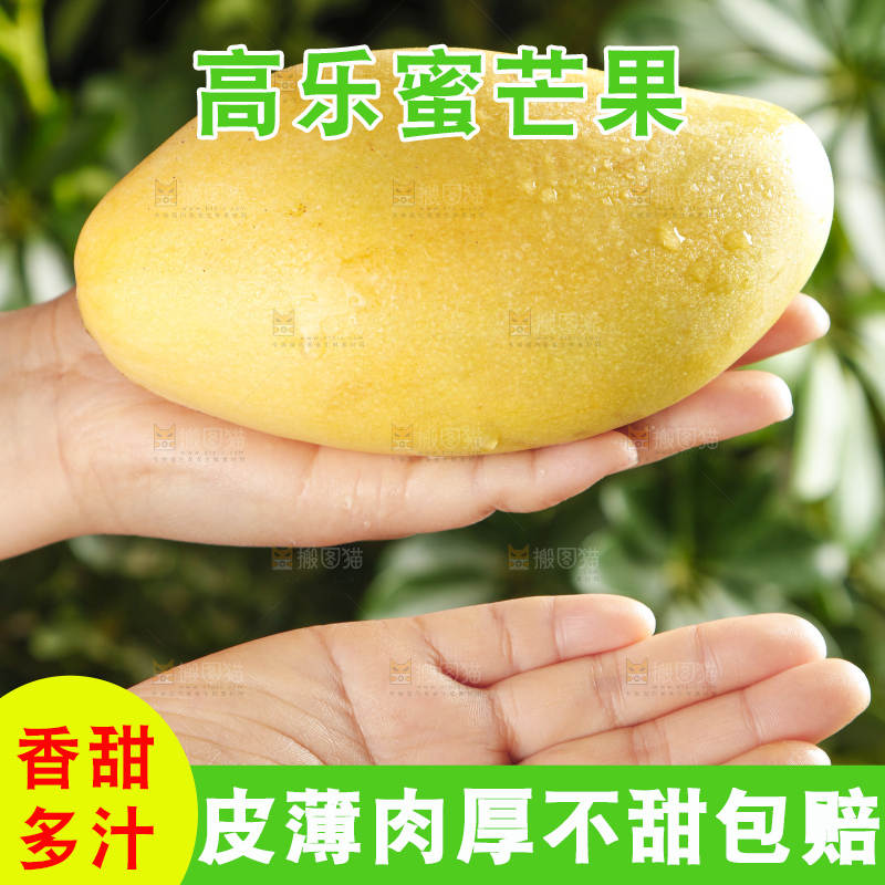 手里拿着新鲜高乐蜜